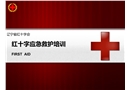 红十字应急救护培训：心肺复苏