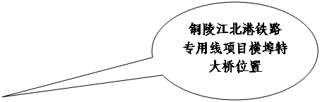 椭圆形标注: 铜陵江北港铁路
专用线项目横埠特大桥位置
