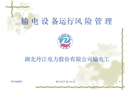 输电设备运行风险管理